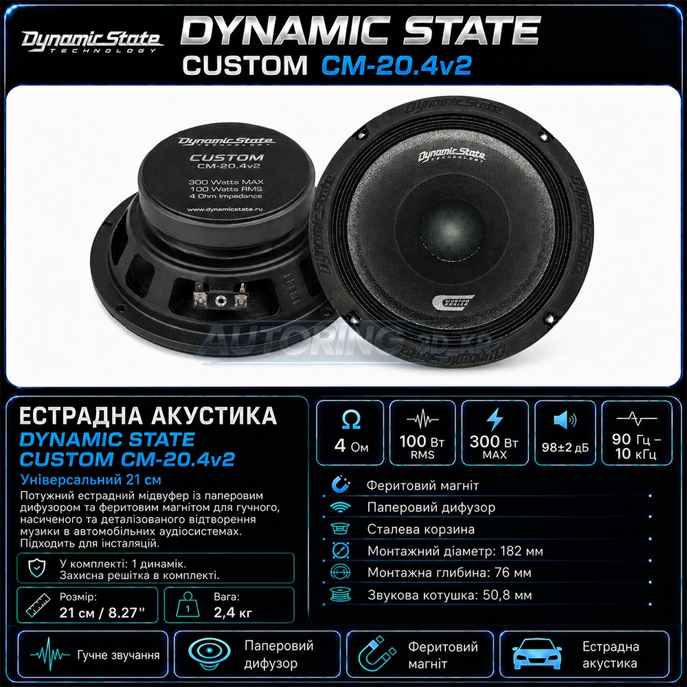 Естрадна акустика DYNAMIC STATE CUSTOM CM-20.4v2