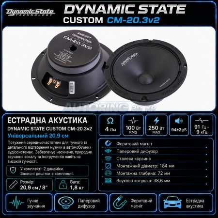Естрадна акустика DYNAMIC STATE CUSTOM CM-20.3v2
