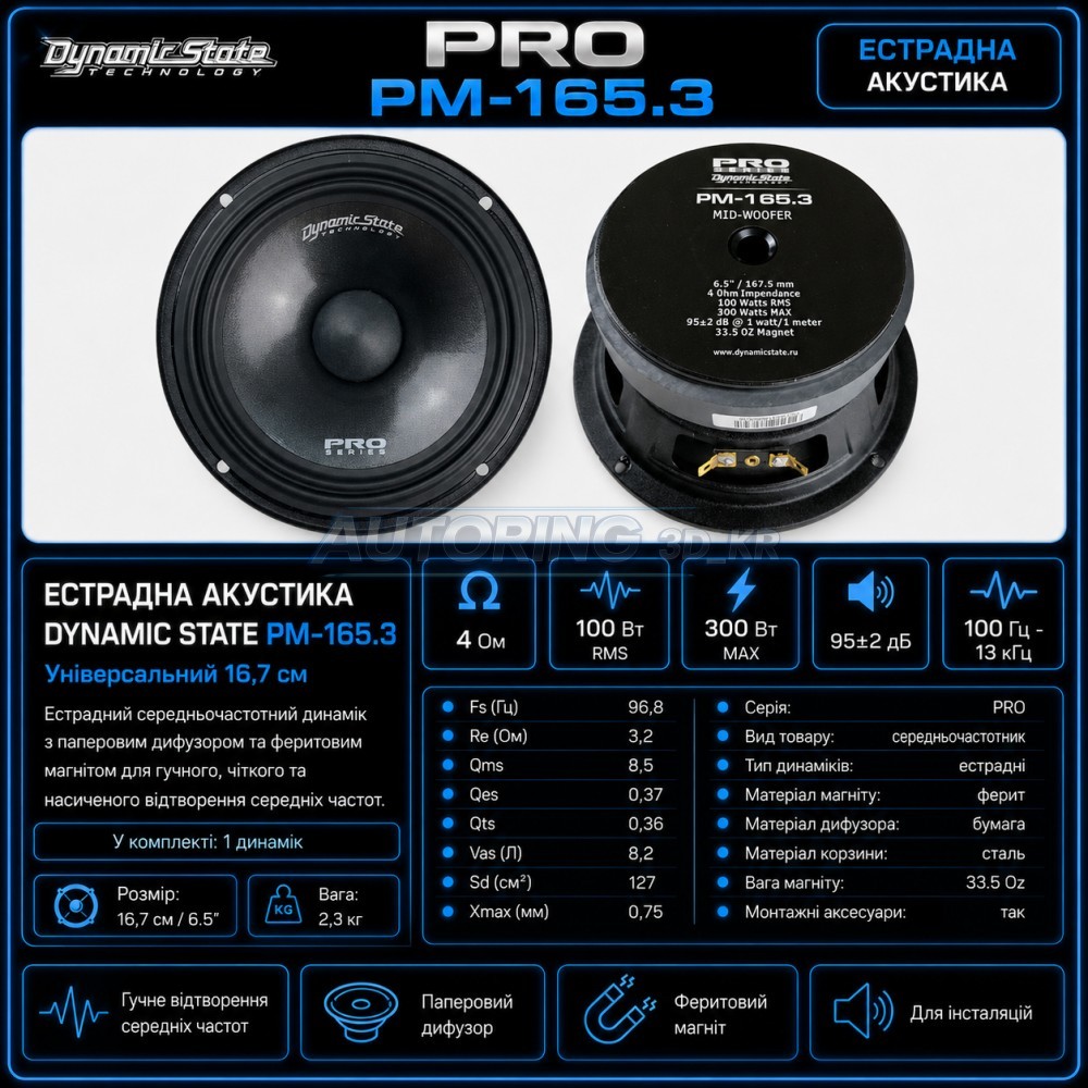 Естрадна акустика Dynamic State PRO PM-165.3