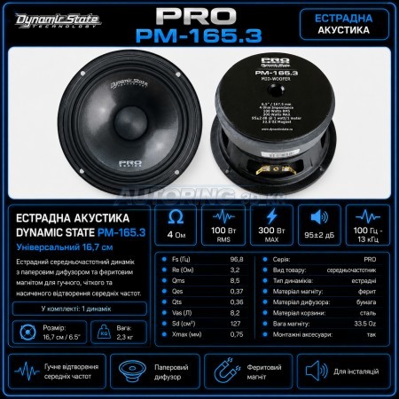 Естрадна акустика Dynamic State PRO PM-165.3