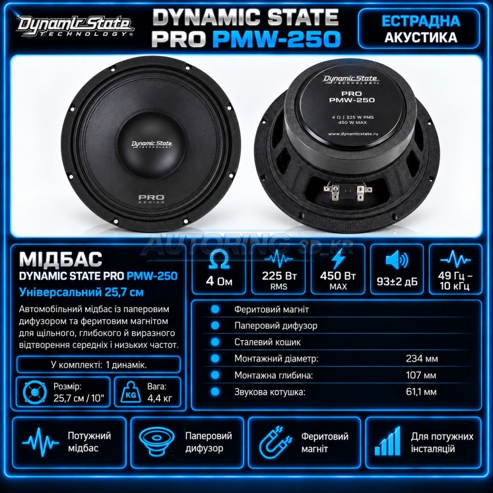 Естрадна акустика Dynamic State PRO PMW-250