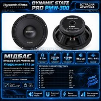 Естрадна акустика Dynamic State PRO PMW-300