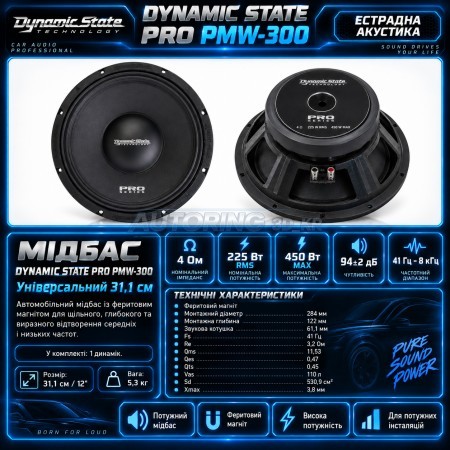 Естрадна акустика Dynamic State PRO PMW-300