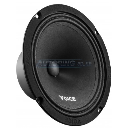 Естрадна акустика Voice ST-200