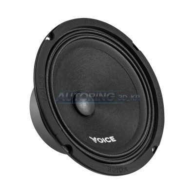 Естрадна акустика Voice ST-165