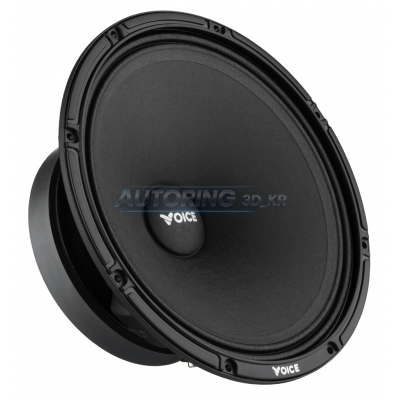 Естрадна акустика Voice SP-80AX